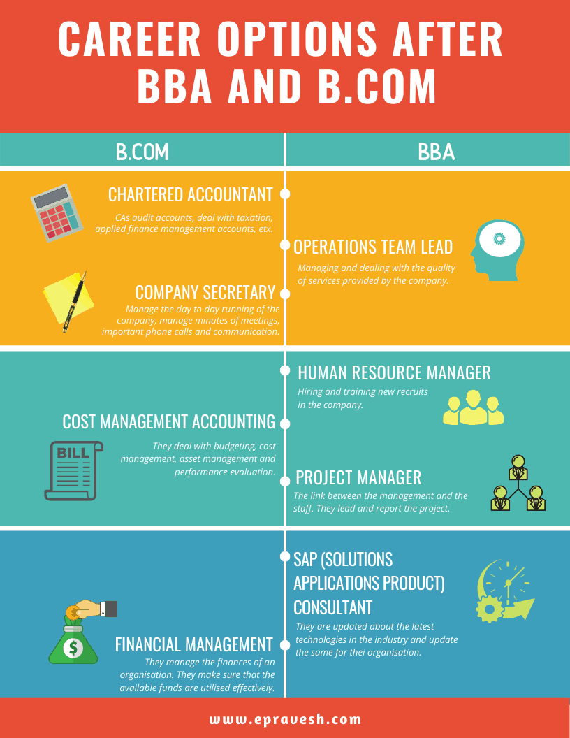 Career Options after BBA and B.Com Infographics