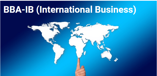 BBA IO (International business)