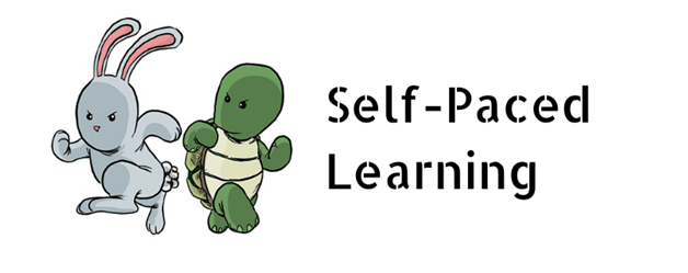 Self Paced Learning process